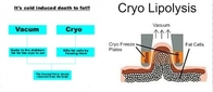 Fabrika fiyatı !!!  Yeni Cryolipolysis RF Kavitasyon Vakum Zayıflama Makinesi