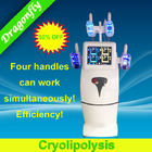 Tüm vücut patentleri için yeni Cryolipolysis Selülit Azaltma Makinesi