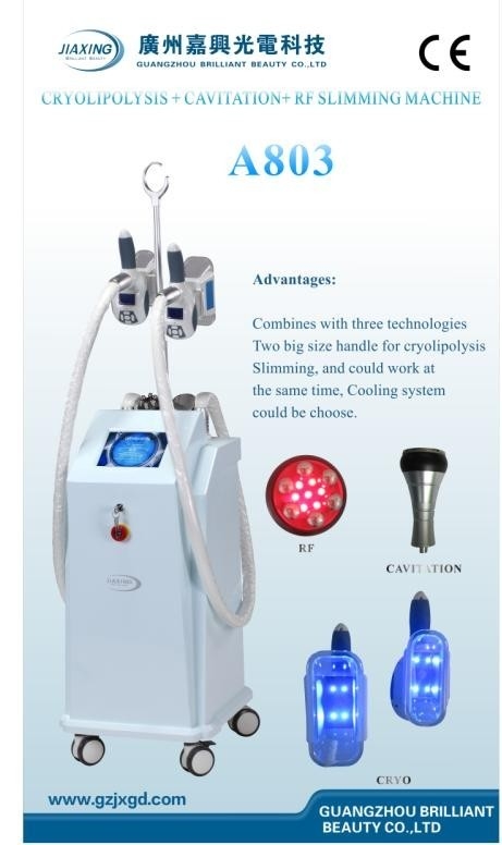 Non invaziv Cryolipolysis zayıflama güzellik ekipmanları ile 8 inç renkli dokunmatik ekran/A804